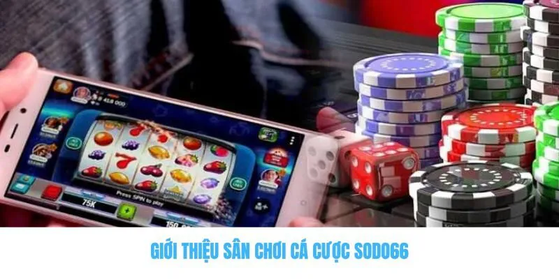 Sodo66 Có Gì Nổi Bật? Có Nên Trải Nghiệm Cá Cược Không? 1 Giới thiệu sân chơi cá cược Sodo66